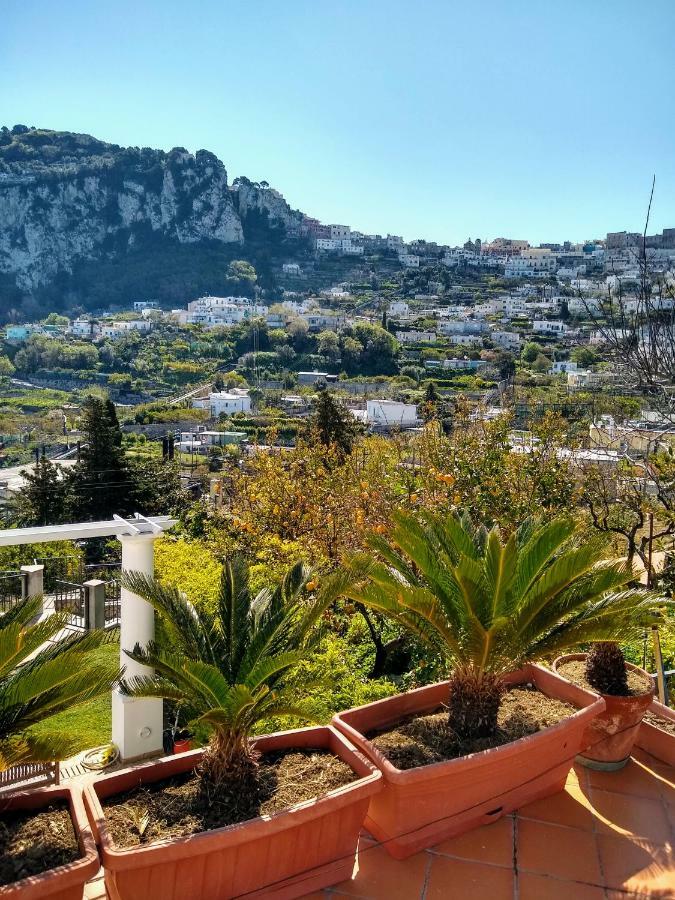 Casa Paolina - Casa Vacanze Capri Kültér fotó