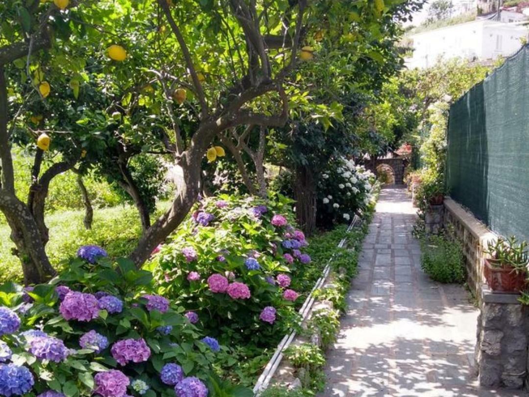 Casa Paolina - Casa Vacanze Capri Kültér fotó